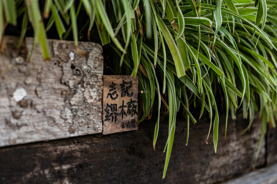 维多利亚码头综合体-166