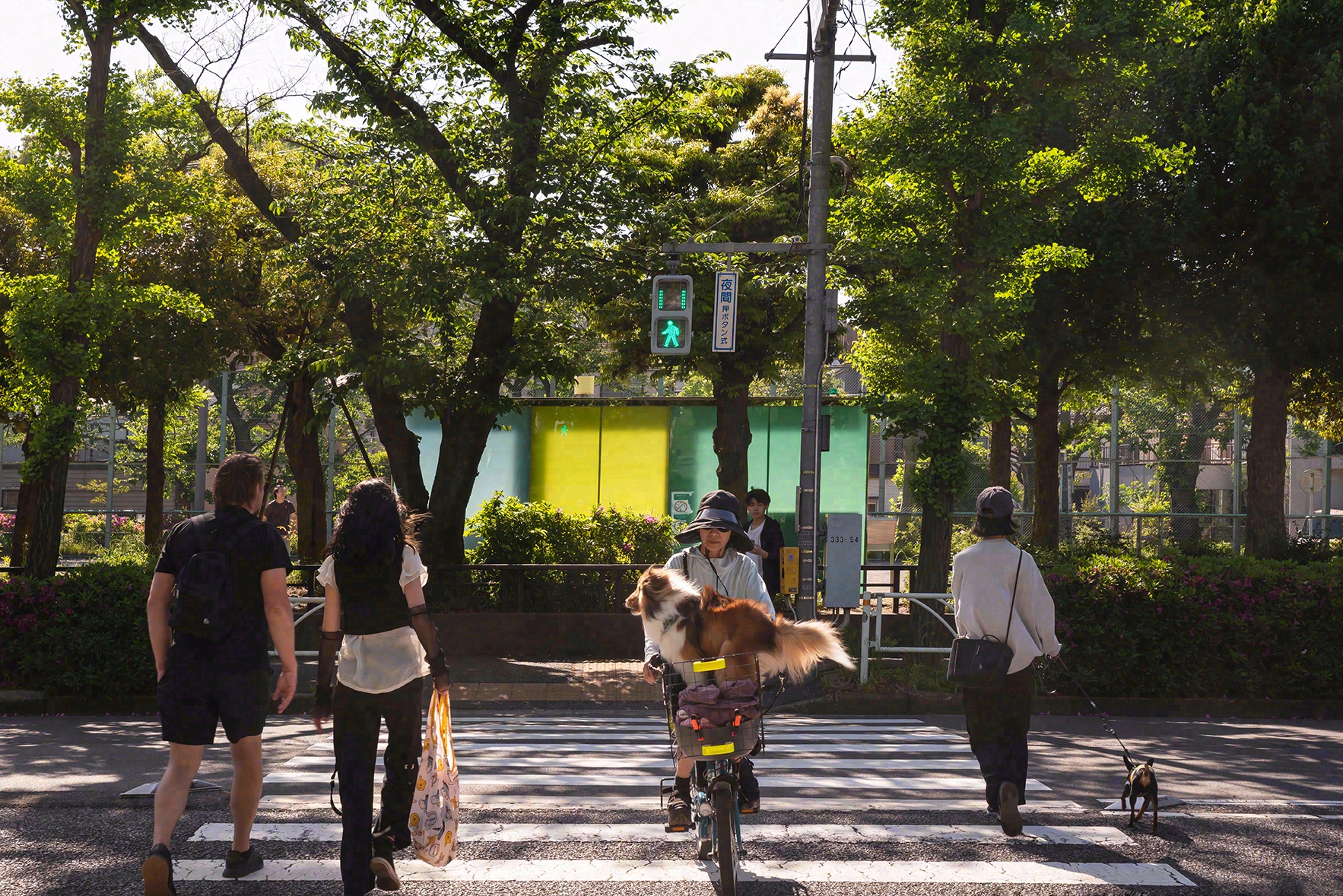 盛情款待：东京厕所项目丨日本东京丨多位设计师-28