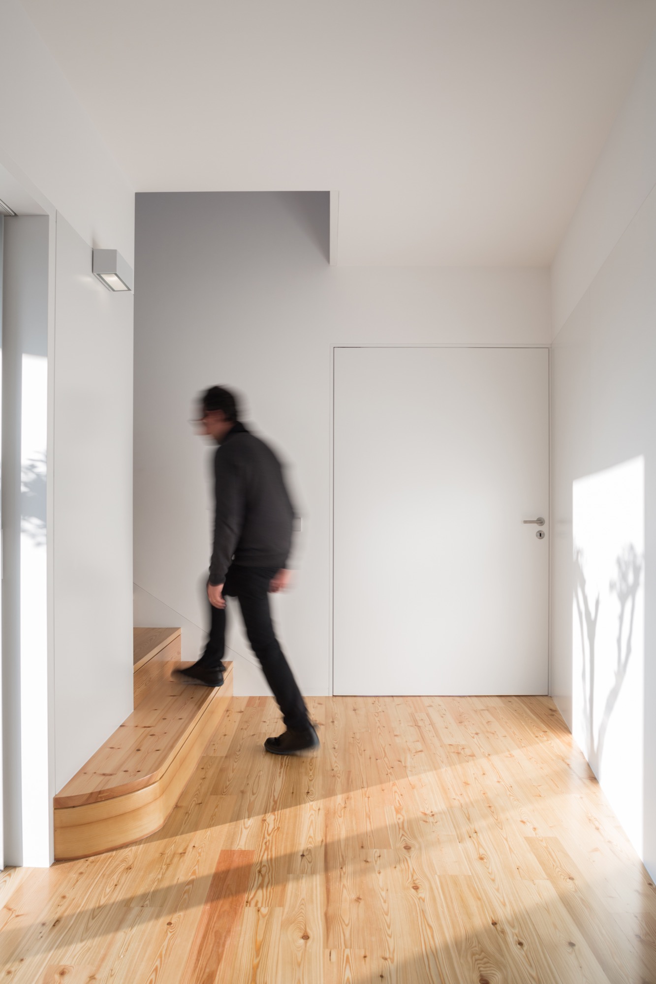 融入地形的葡萄牙私人住宅-53