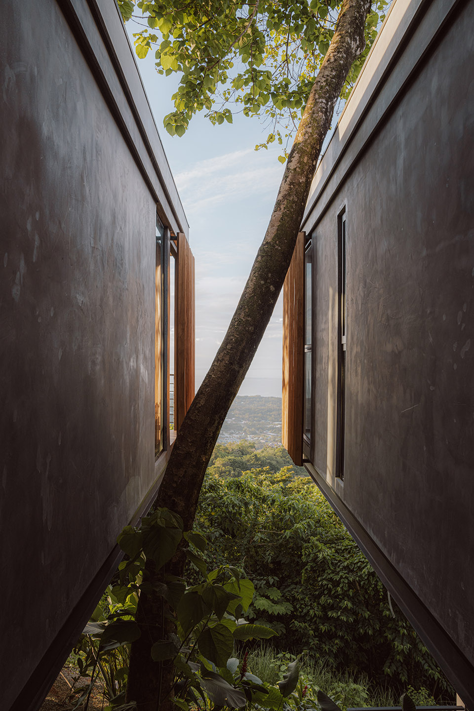 Komorebi别墅丨哥斯达黎加蓬塔雷纳斯丨Studio Saxe-97