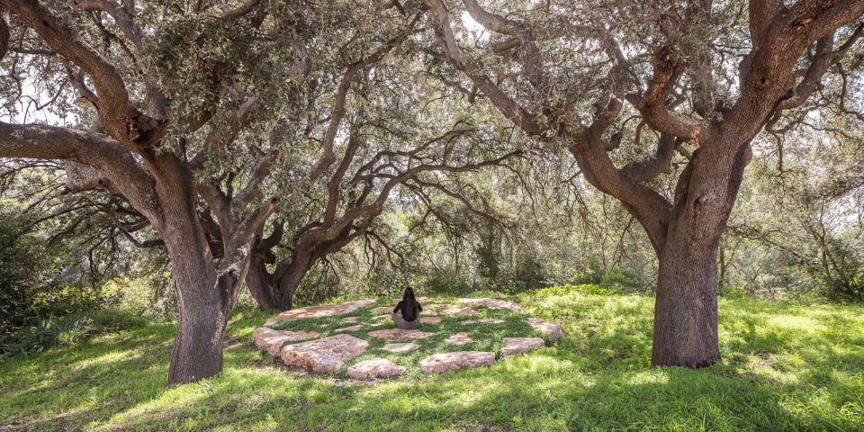 西班牙Masía Can Farrés酒店景观设计丨西班牙巴塞罗那丨scob（Sergi Carulla & Óscar Blasco）-22