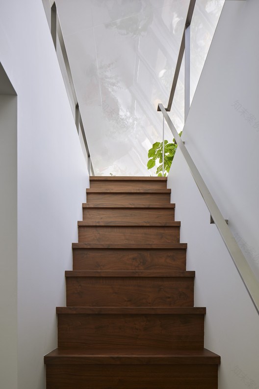 The House with Plants KamakuraStudio-13