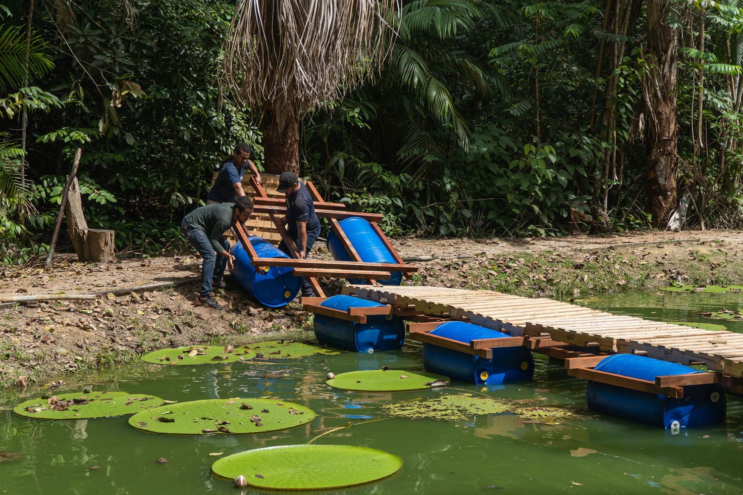 巴西玛瑙斯浮桥丨Colectivo Aqua Alta-18