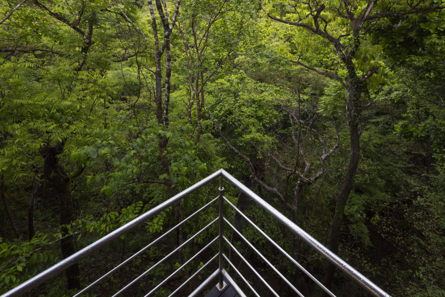 哥斯达黎加海鸥屋(Casa Gaviota)-27