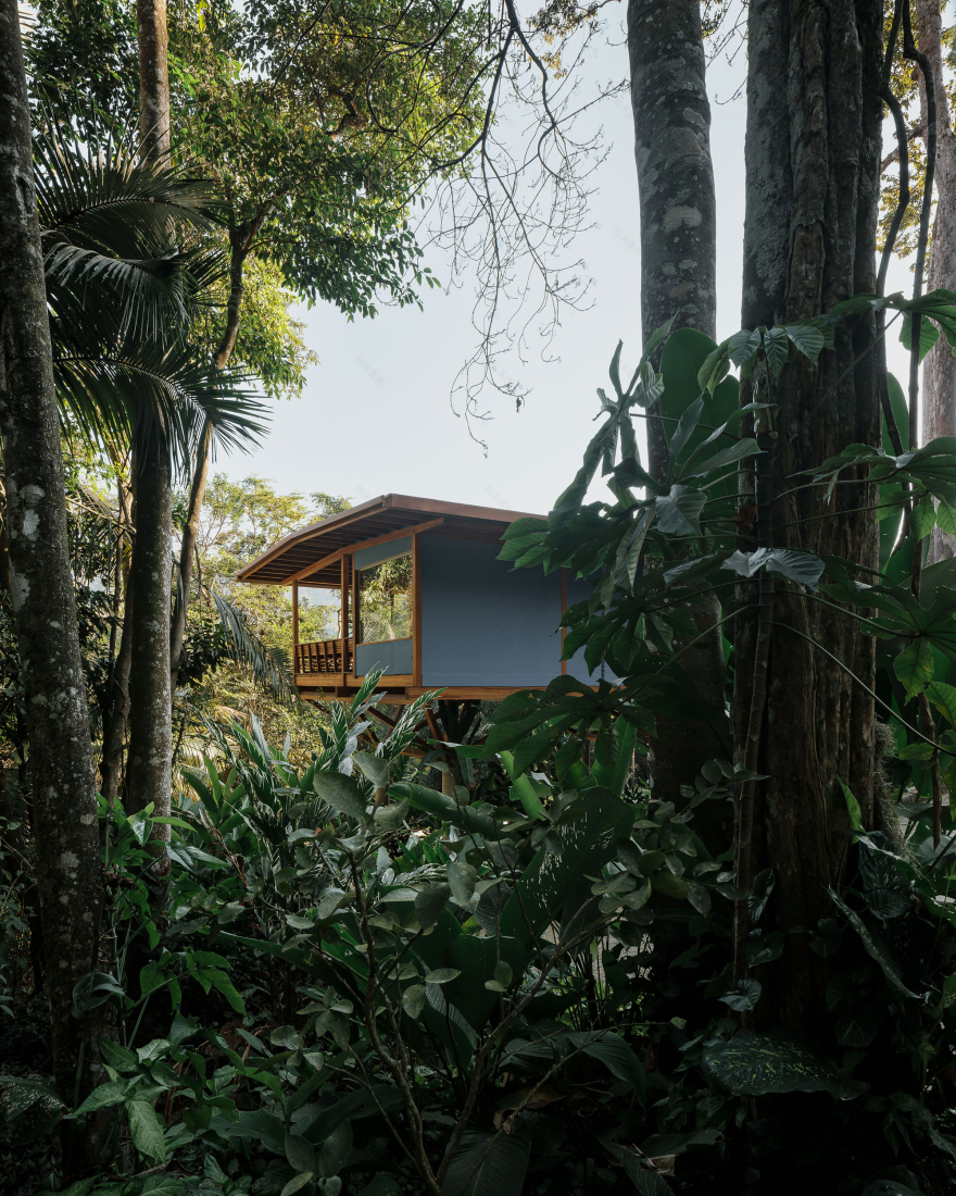 丨巴西帕拉丨Arquipélago Arquitetos-32