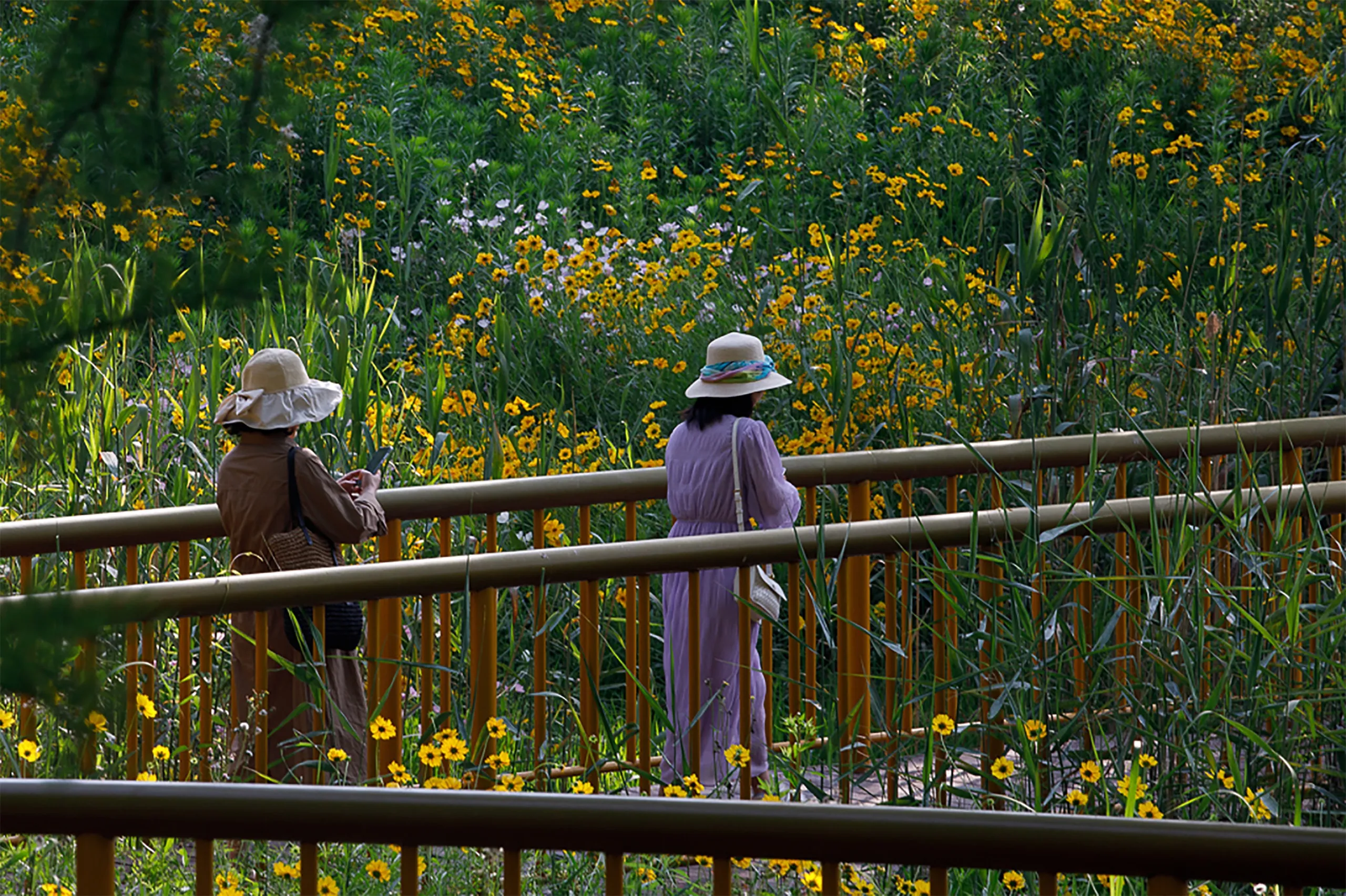 【案例分享】大溪港湖湾儿童友好湿地公园-17