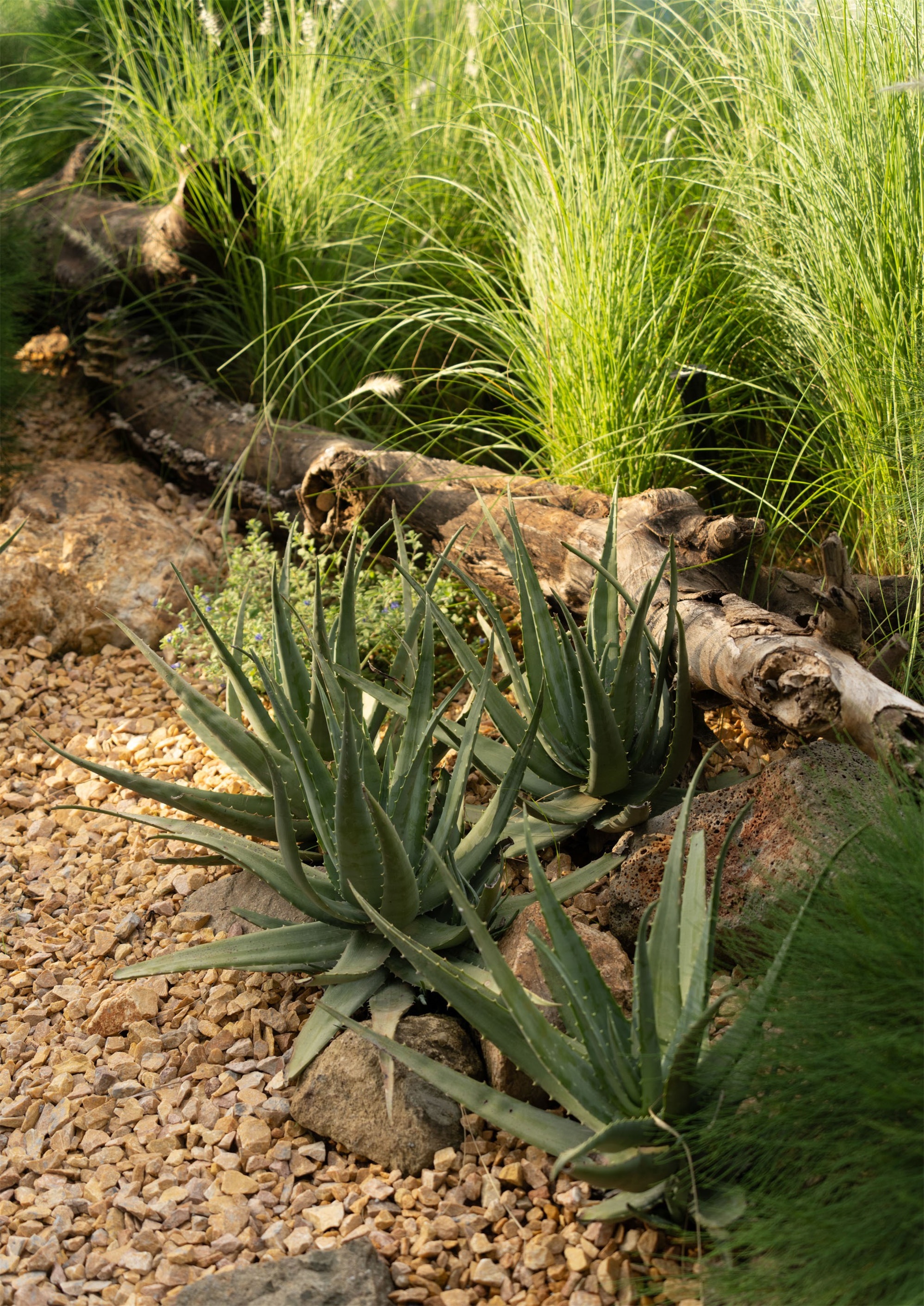 Lu·e Park·海口麓岛公园丨中国海口丨成都德珈筑境景观规划设计有限公司-72