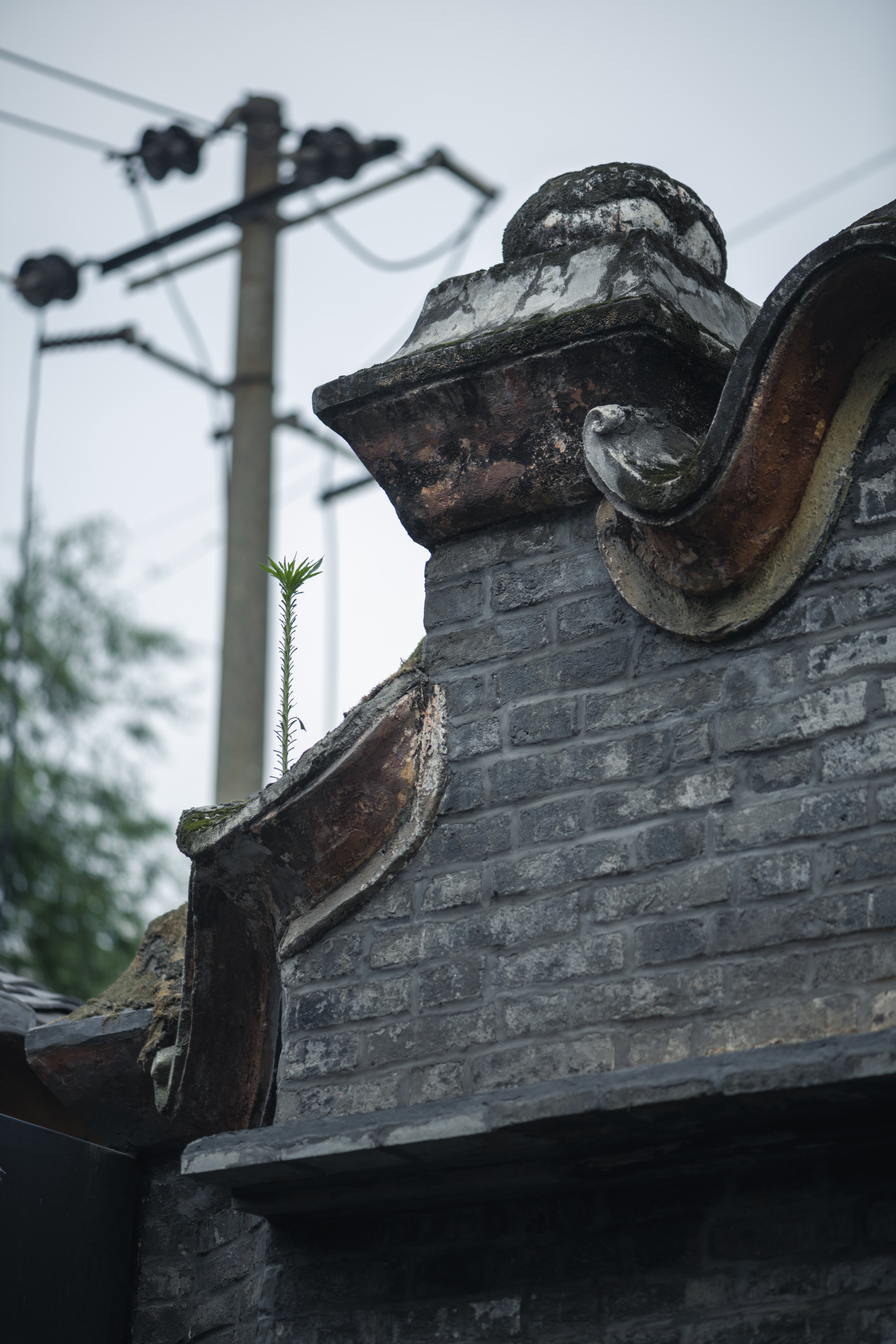 JU LU HOT POT · 寄炉火锅丨中国成都丨Nature design studio（成都内向室内設計）-30