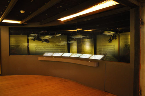 花莲柴鱼博物馆-4