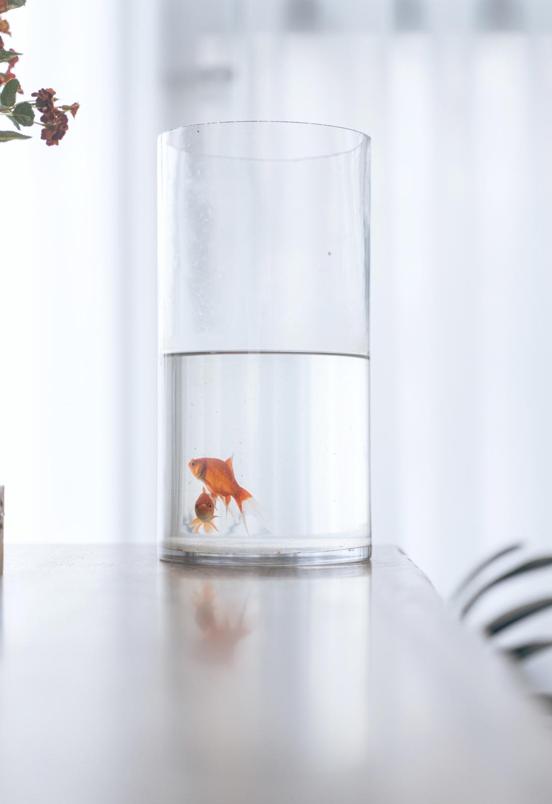 平层温馨现代极简风-1