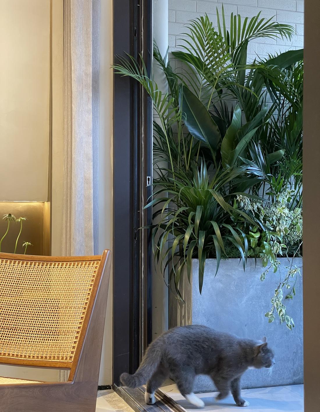 111㎡四口之家,低奢自然简约空间改造记-103