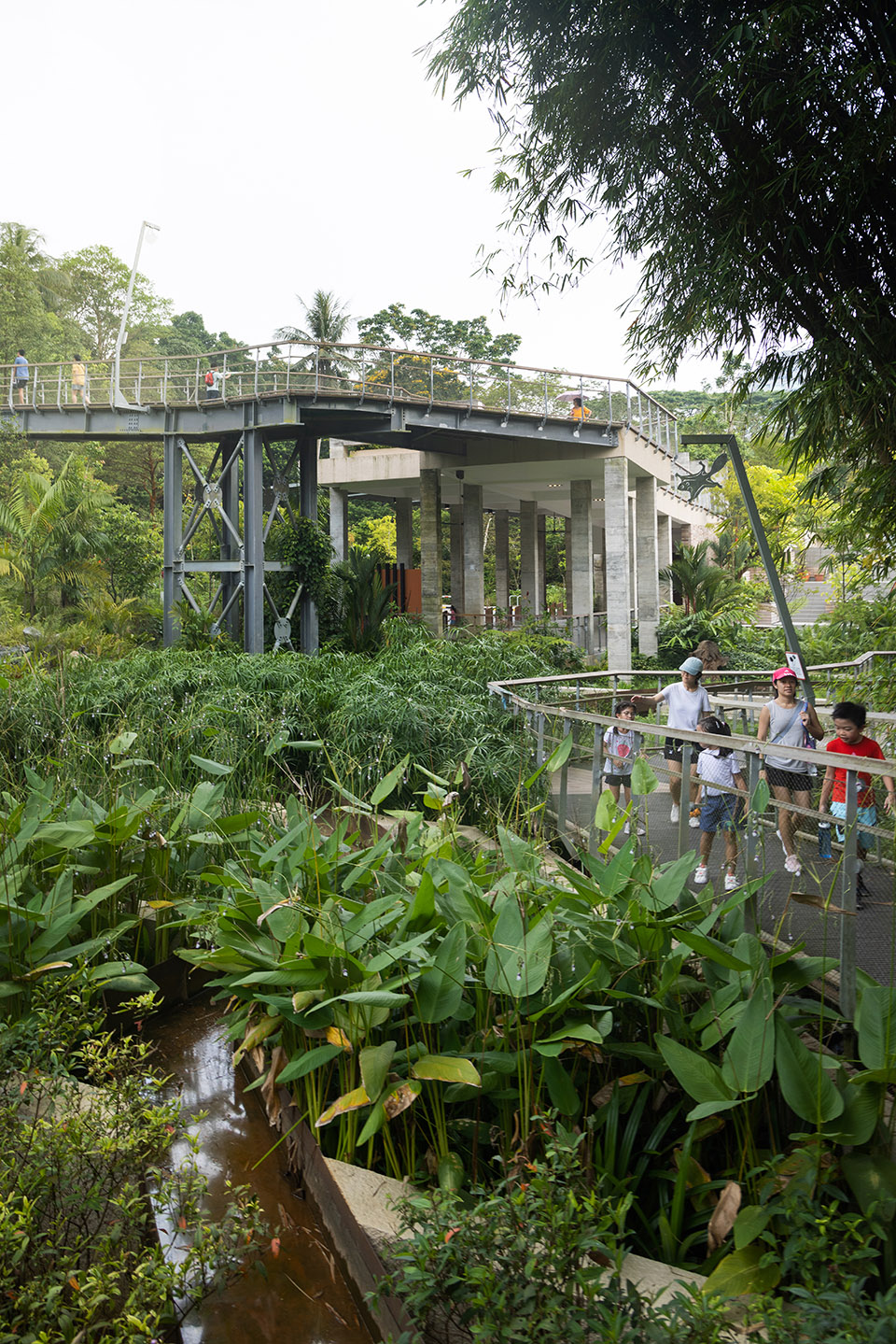 射靶场自然公园丨新加坡丨Henning Larsen-30