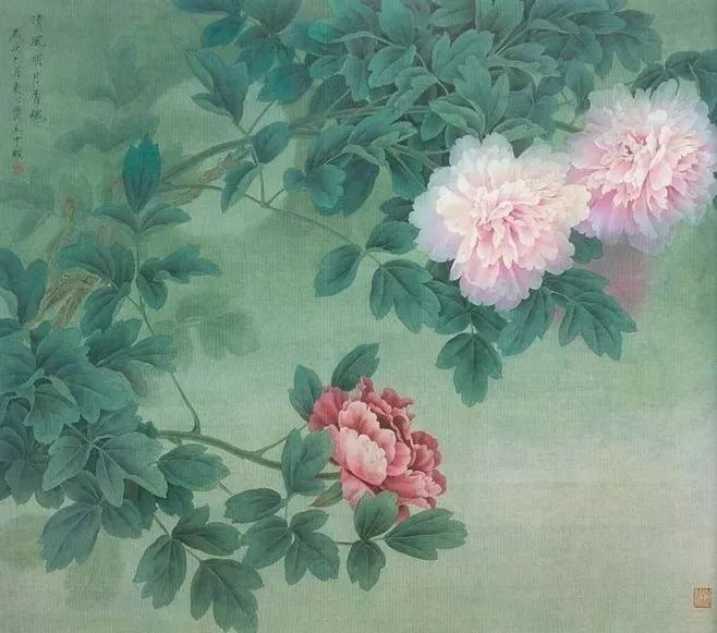 牡丹养护攻略 | 花园中的花中之王-49