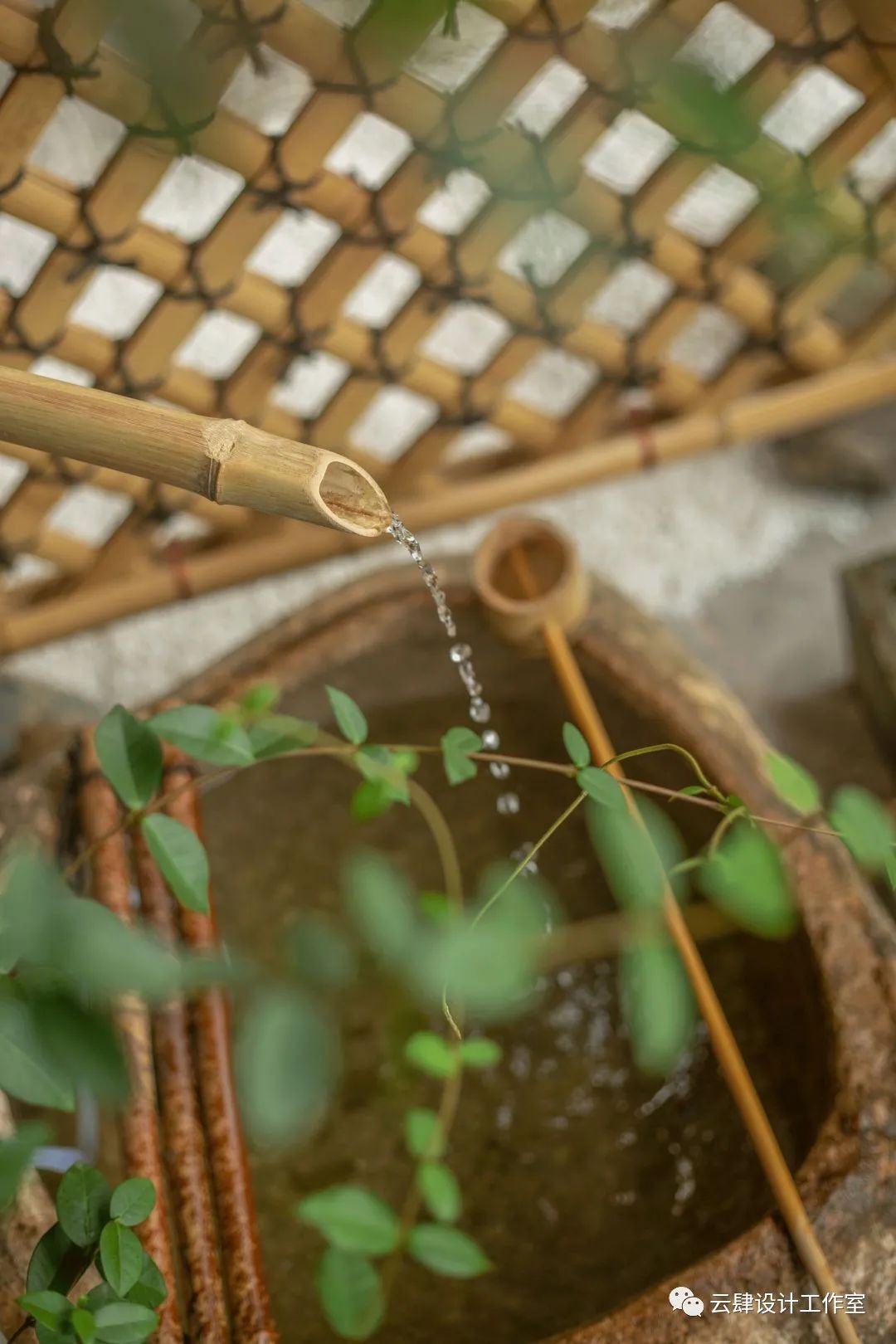 浅吟幽兰丨杨帆,陈彦霖-56