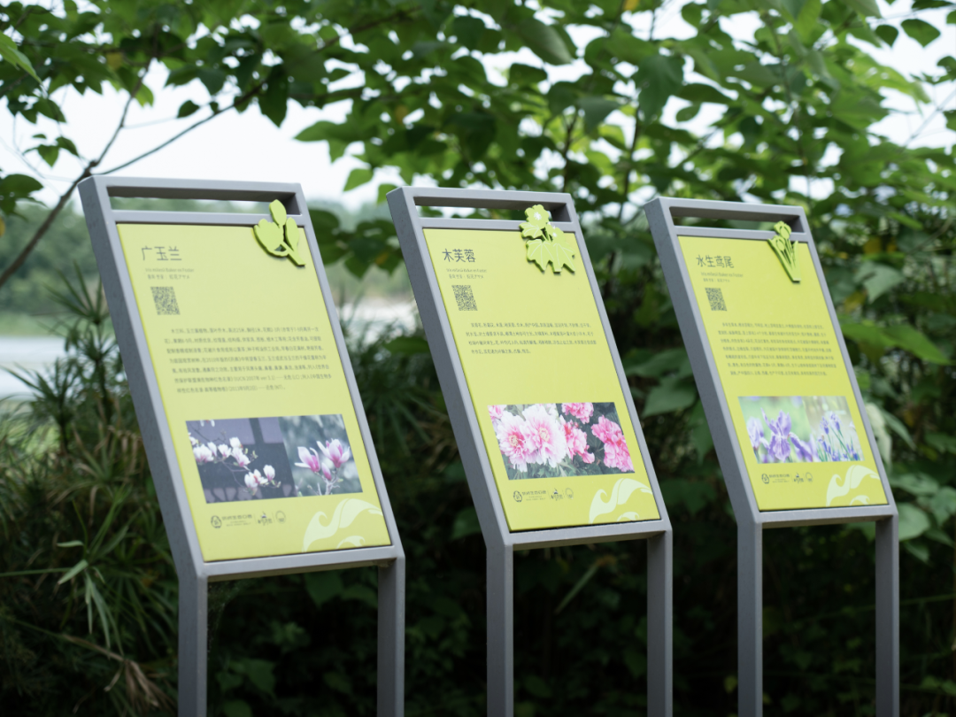 白鹭湾湿地公园自然探索基地丨中国成都丨上海柏熙标识有限公司-28