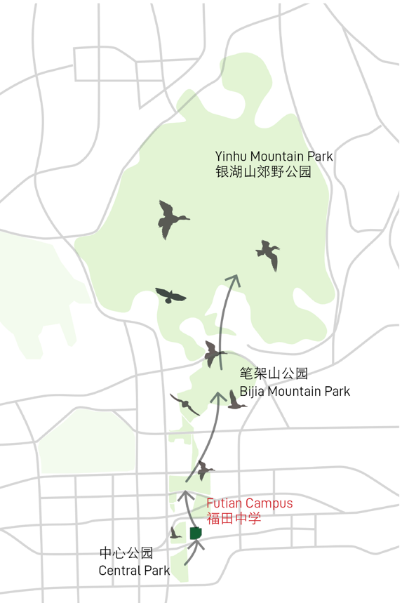 【AT建筑】城市中的“城市”——福田中学校园设计（byreMIX临界工作室）-223