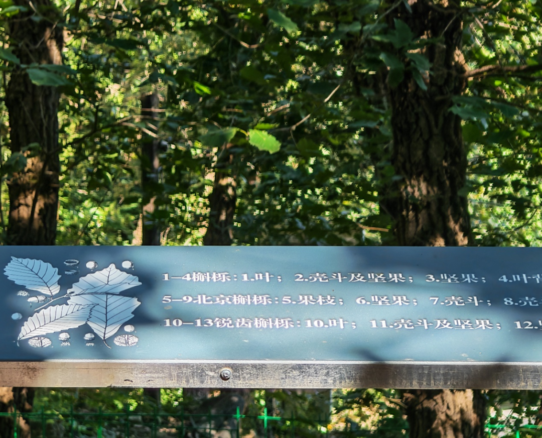 “百年中法友谊的见证者”——北林地景助力贝家花园焕新开放-40