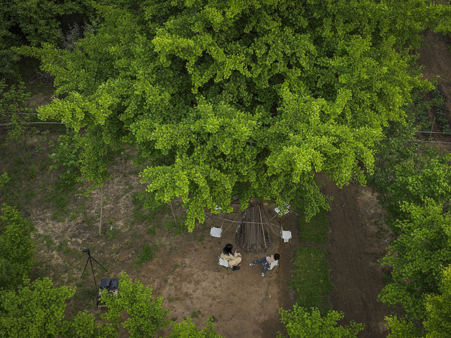 竹装置·Tree of Life丨中国北京丨UK Studio-42