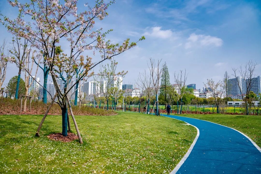 《九里亭景观更新规划与实践》 | 精致共享共治,呈现松江新貌-52
