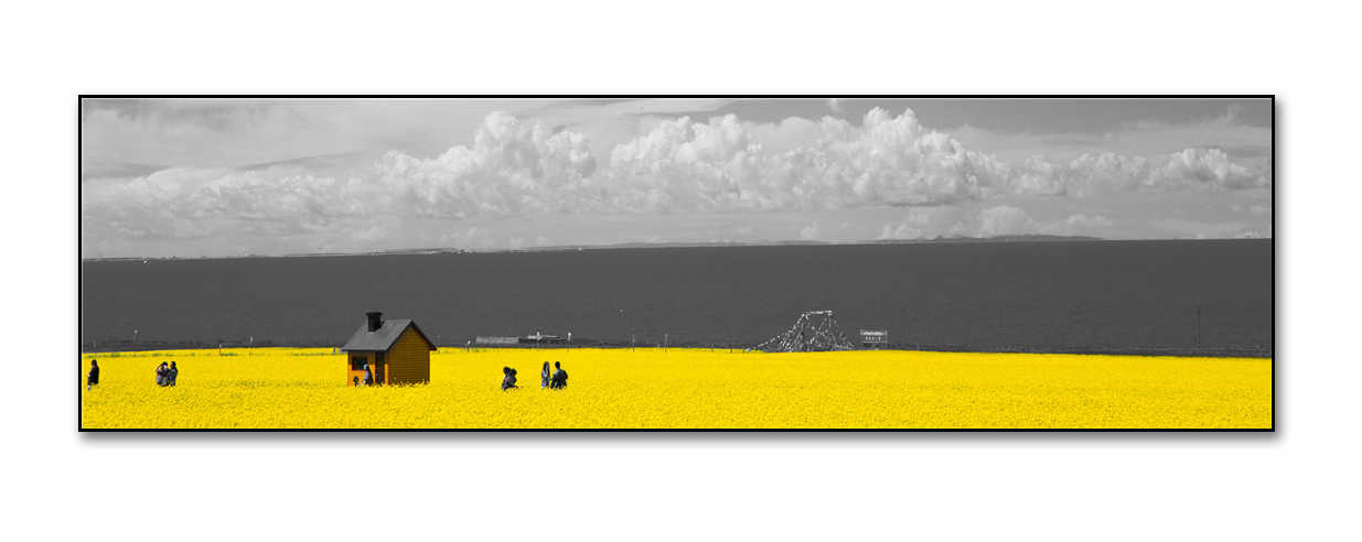 星绘画业-晶瓷画-8