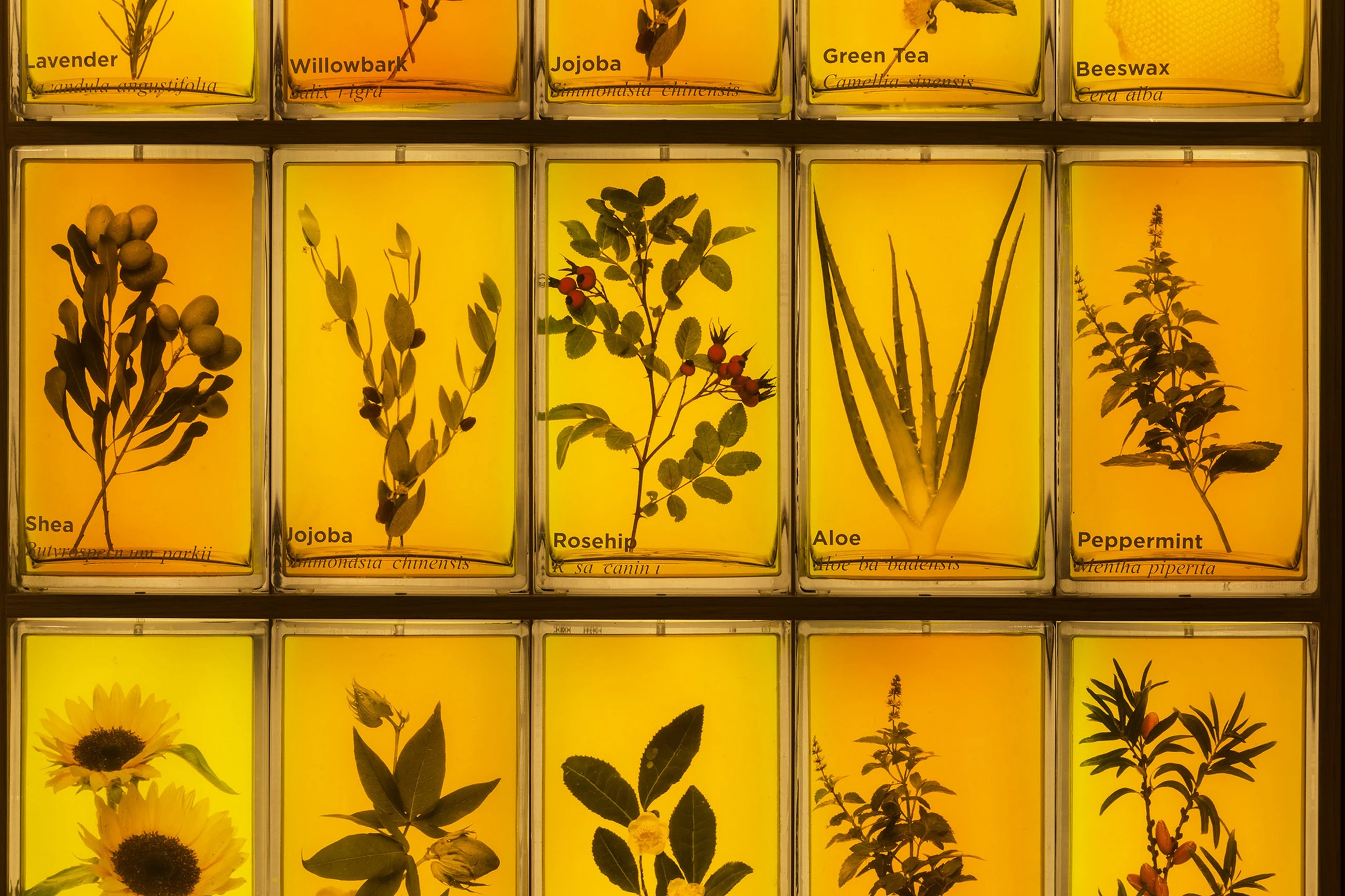 香港 Burt's Bees 旗舰店-18