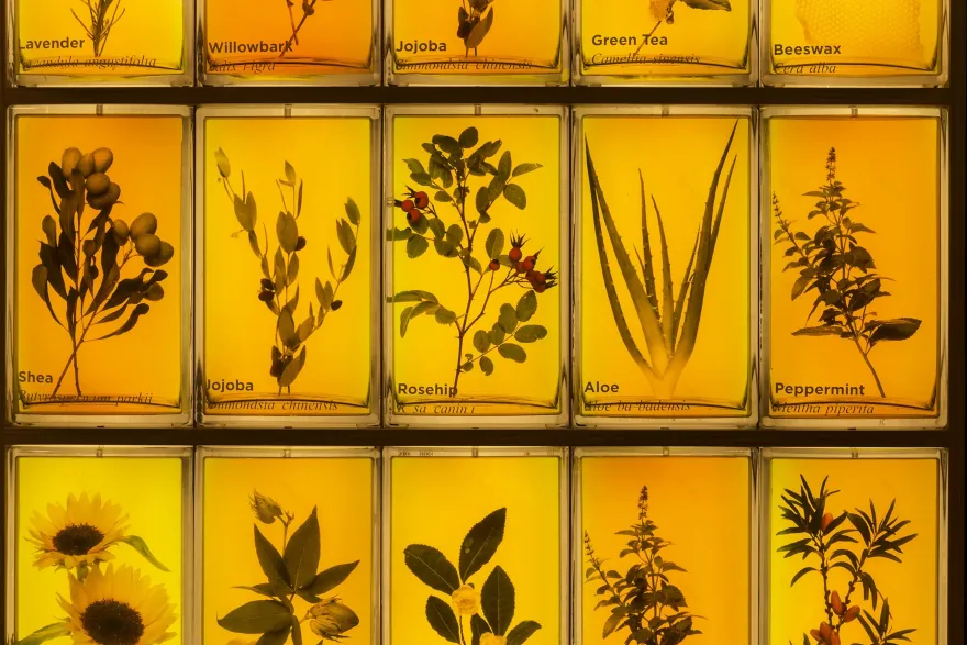 香港 Burt's Bees 旗舰店-18