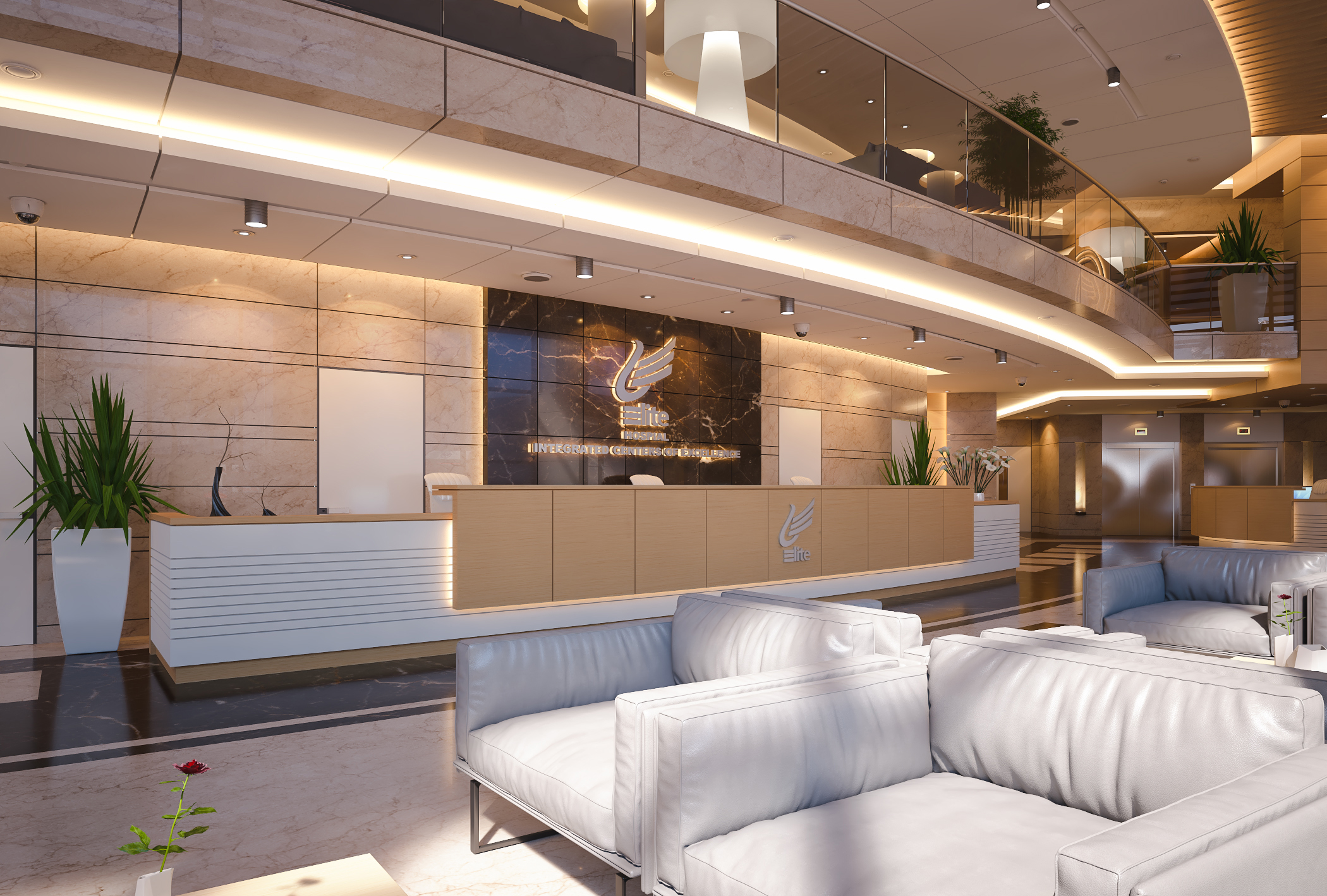 Elite Hospital Main Reception-1