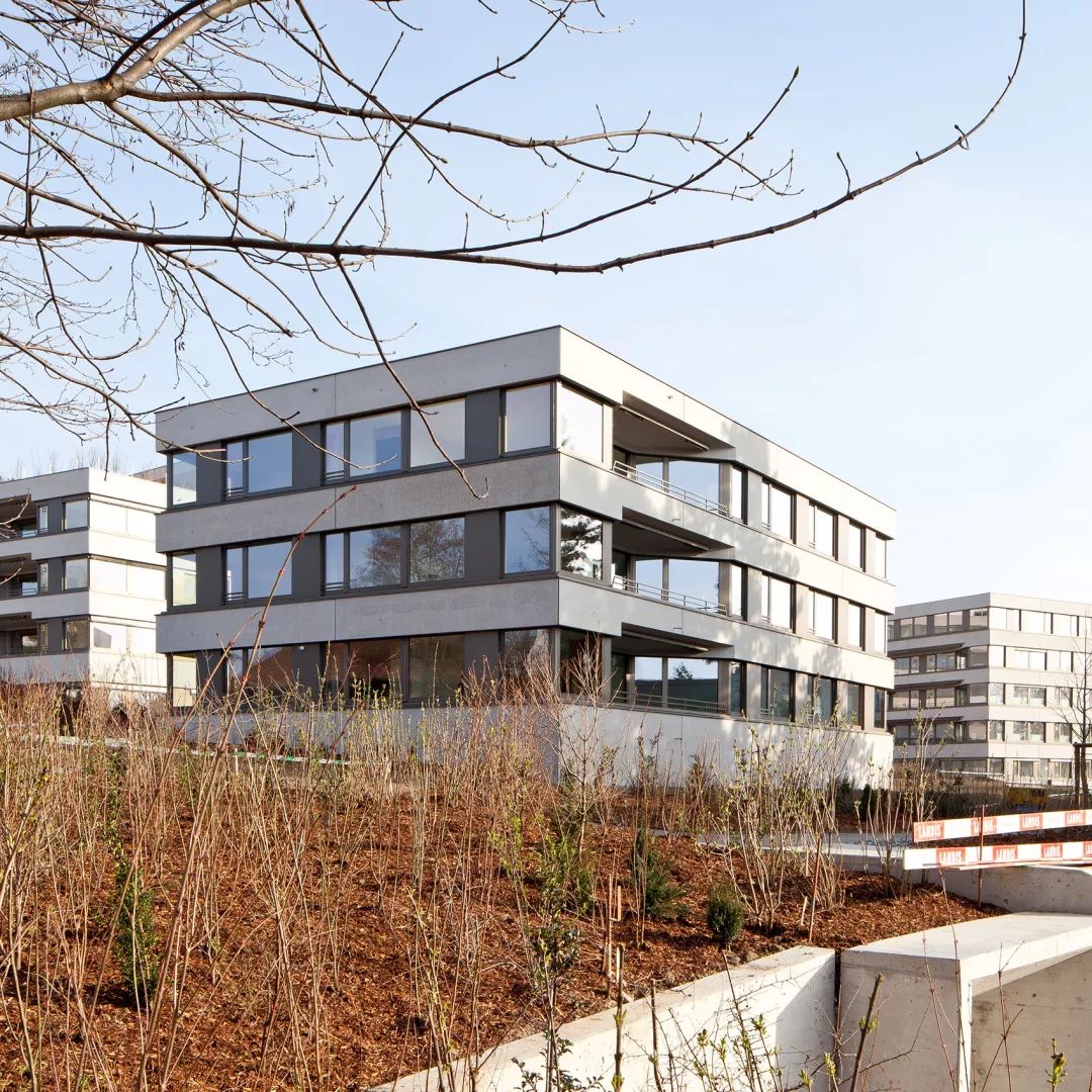 瑞士楚格 Frauensteinmatt 看护中心,和谐材质与景观融入的宜人空间-10