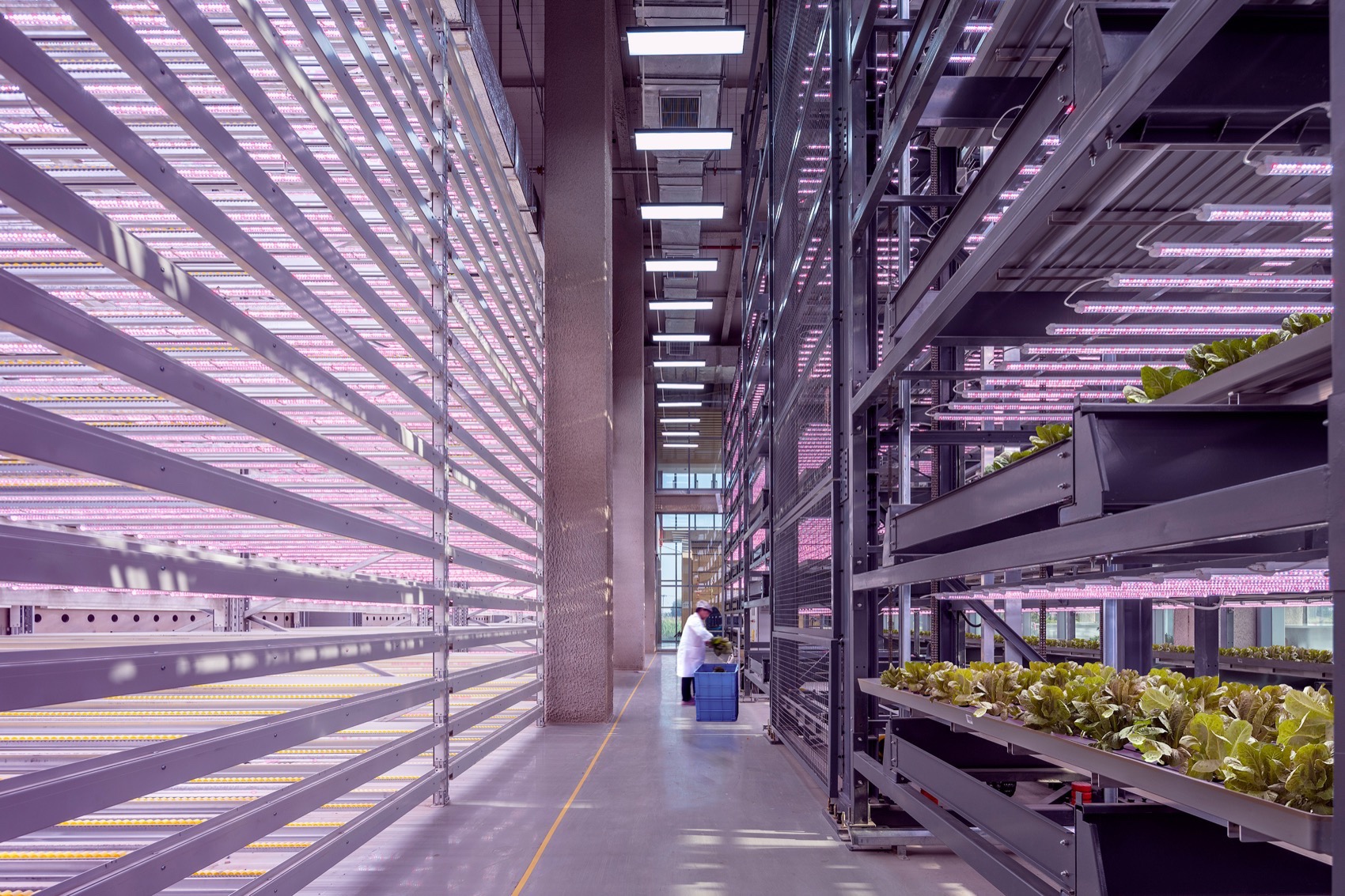 衡水垂直农场丨中国衡水丨van Bergen Kolpa建筑事务所-44