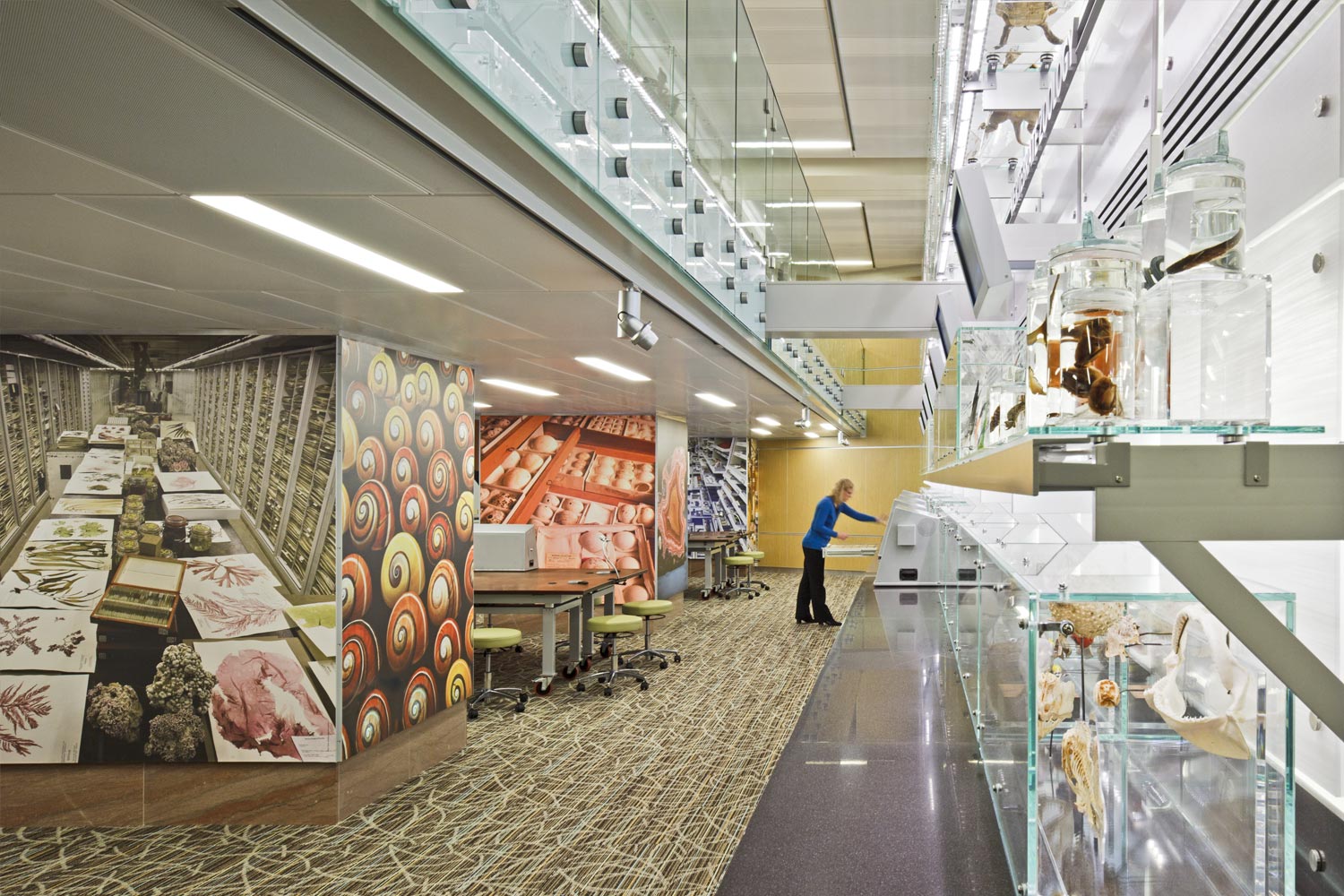 自然历史博物馆教育中心 | 互动式体验的设计亮点-9