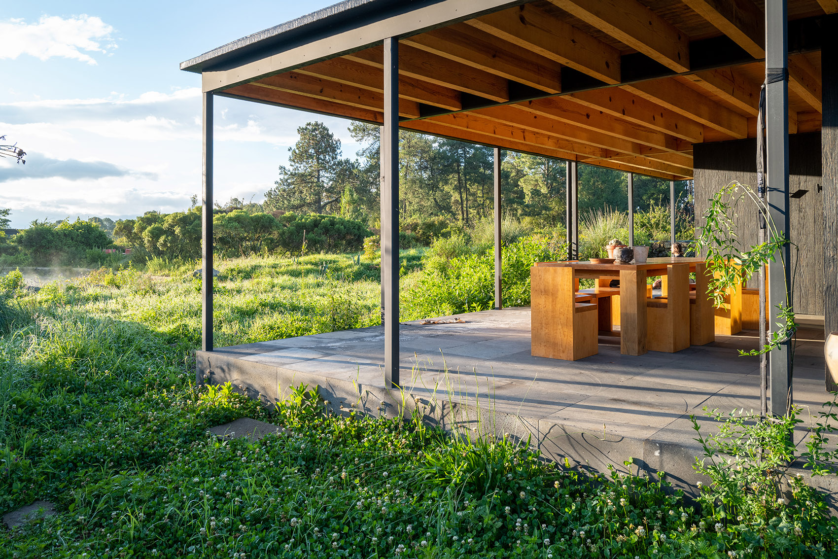 墨西哥雨水收集之家丨Robert Hutchison Architecture + JSa-115