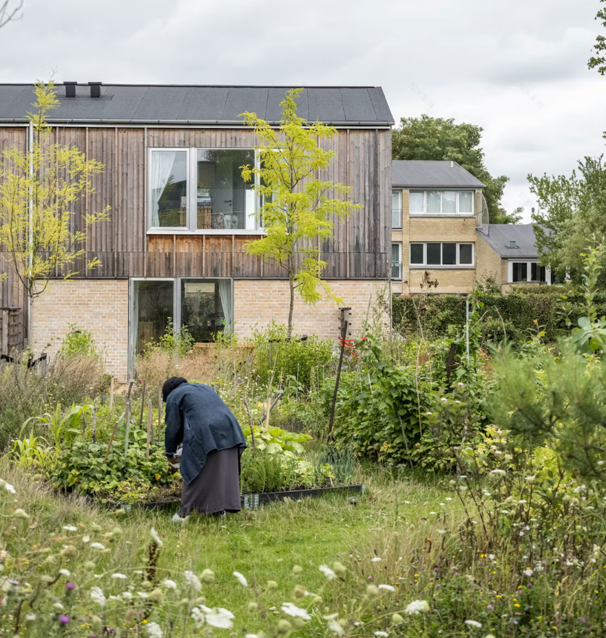 SLA 对 Tingbjerg 社区的更新项目丨丹麦哥本哈根-14