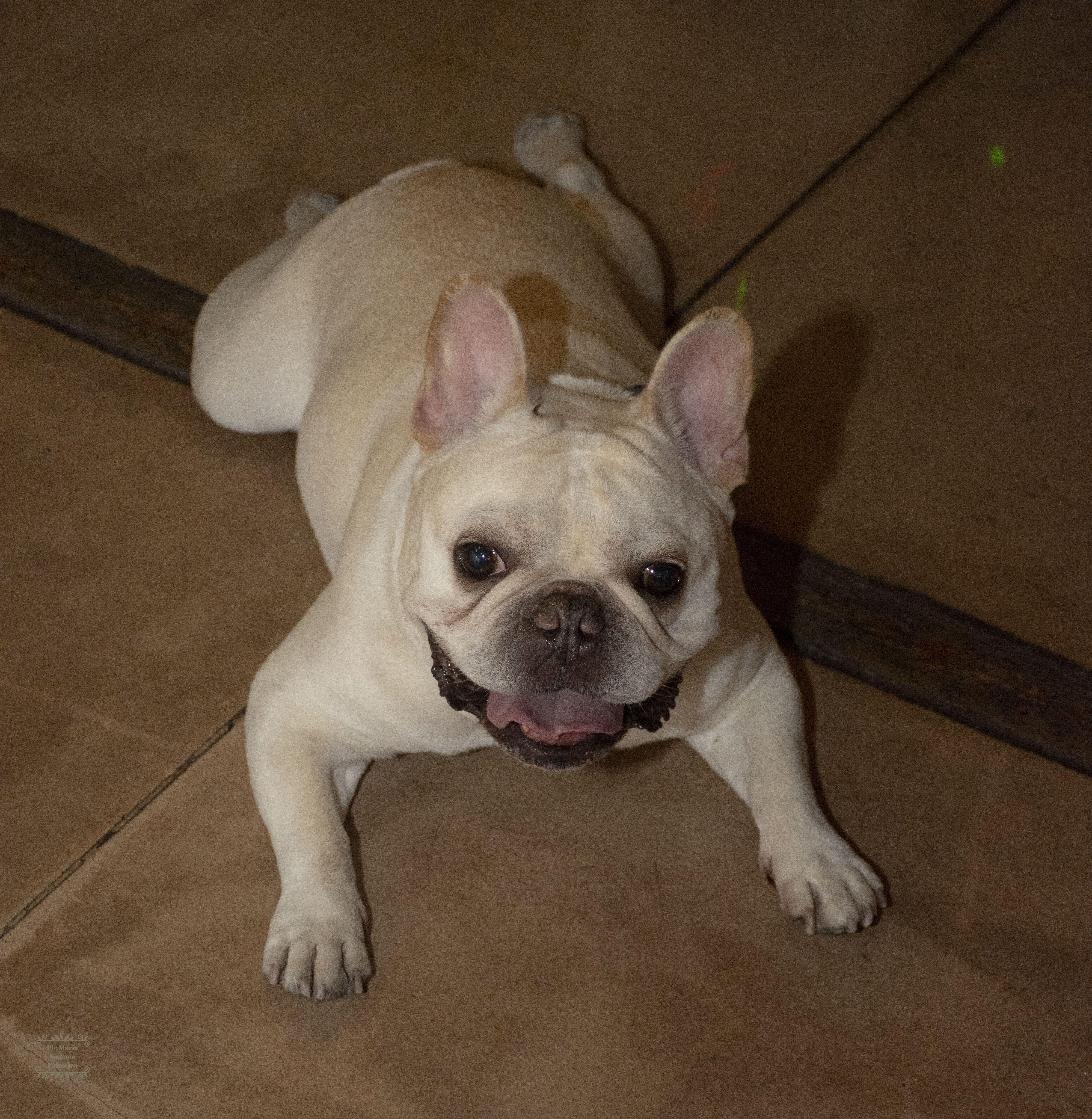 Cumpleaños y fiesta de fin de año-6