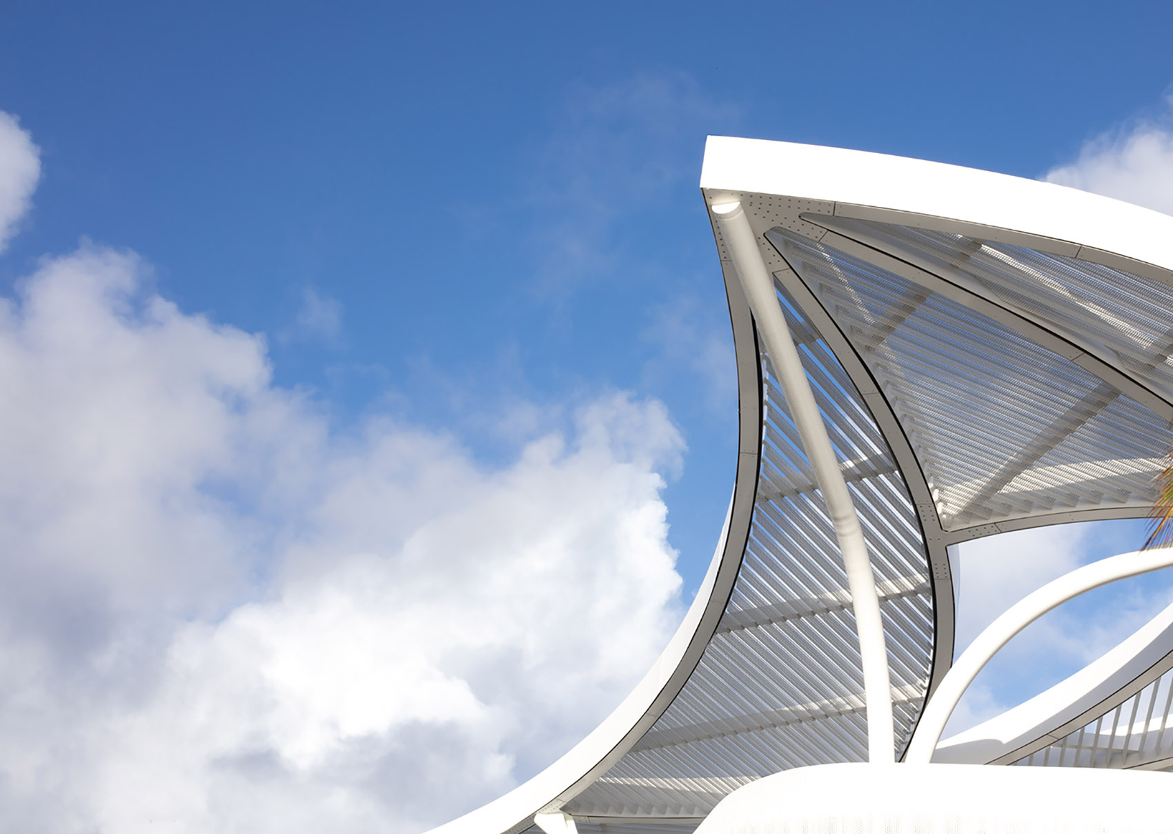 DC Ale·ander公园丨Brooks + Scarpa-70