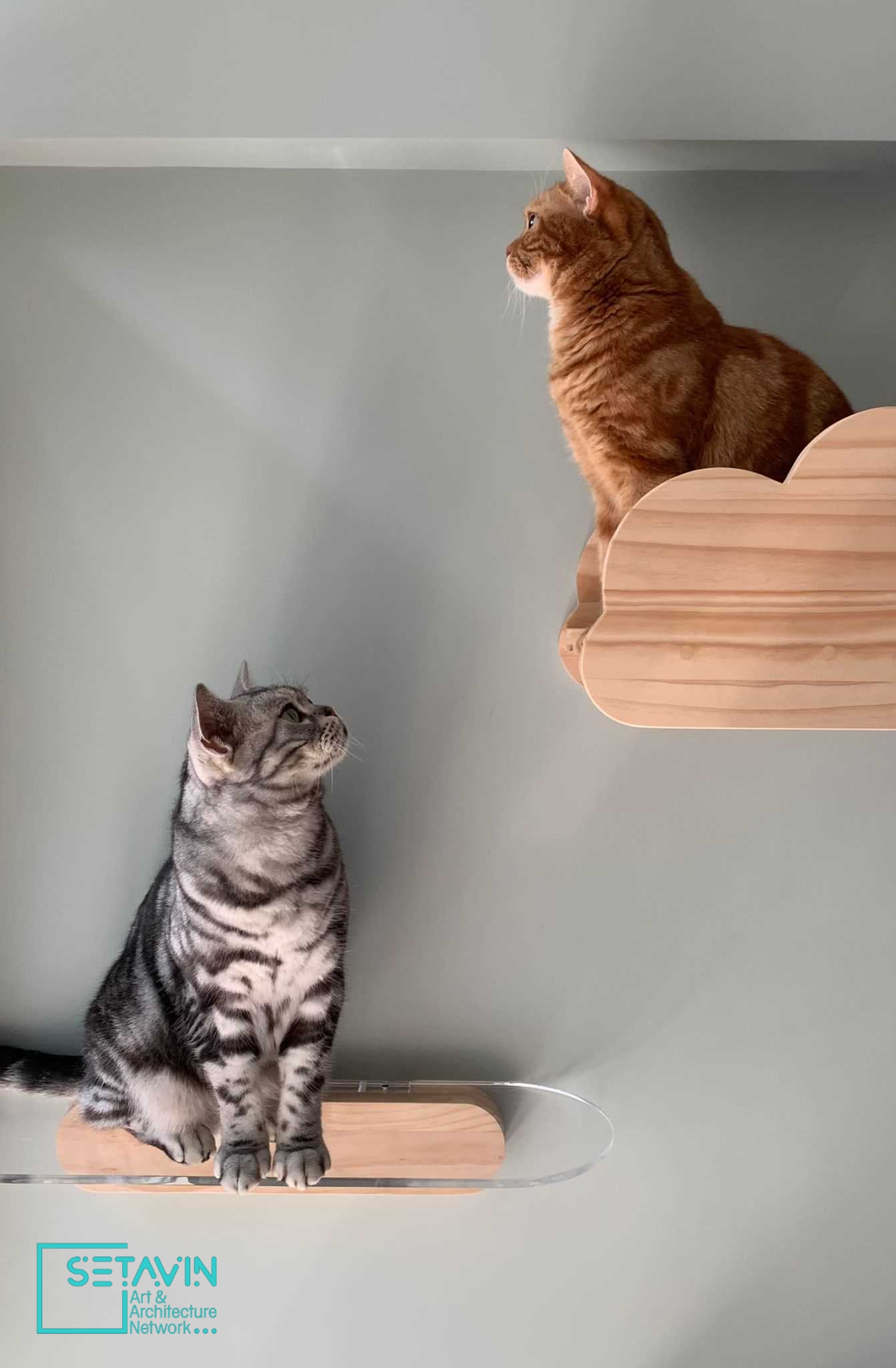 香港42平方米住宅室内设计丨中国香港丨littleMORE室内装饰工作室（阿黛尔·王和埃里克·刘）-18