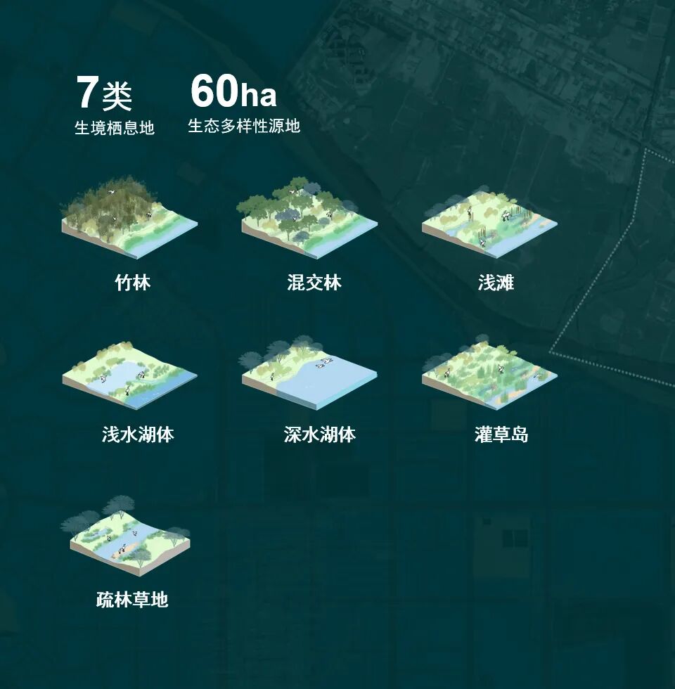 顺德鹭鸟湿地片区景观规划丨中国佛山丨AECOM-42