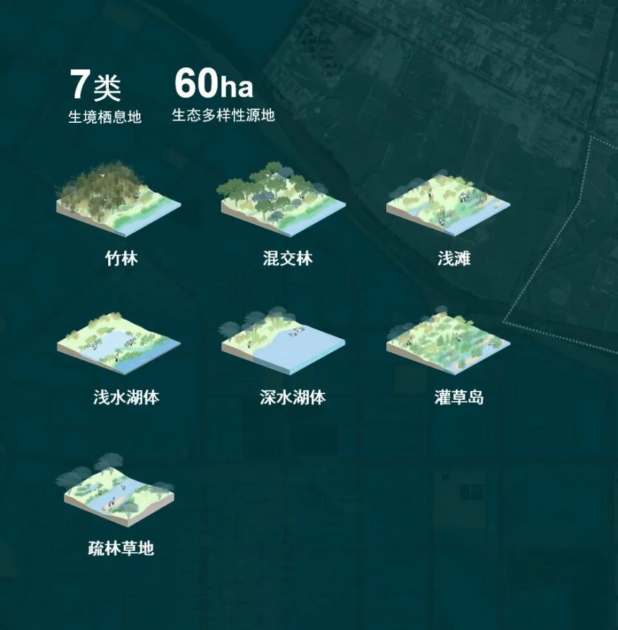 顺德鹭鸟湿地片区景观规划丨中国佛山丨AECOM-42
