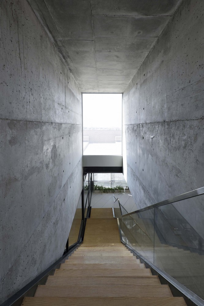 伊朗 Tehran 行政培训中心有机设计-45