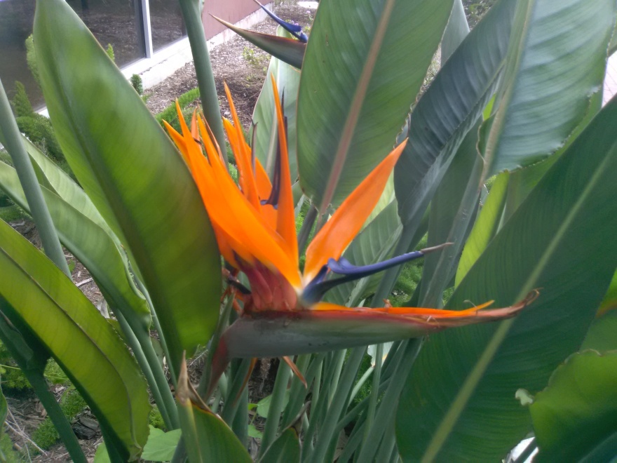 丨MSR Architecture-35