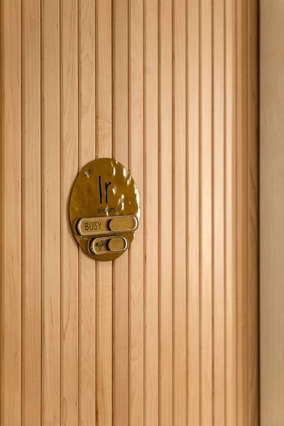 Rebirth Under the Stars-29