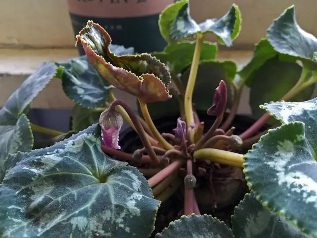 极简轻奢,重构生活美学丨星艺装饰广州总部-38