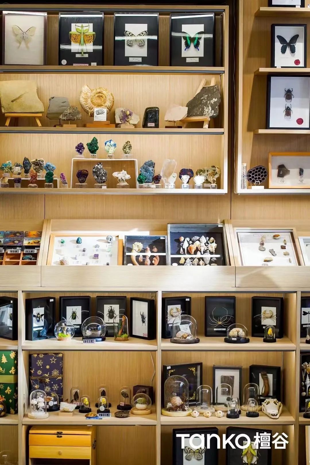 从场景营造到空间运营|洛嘉教育的社区实践与探索-37