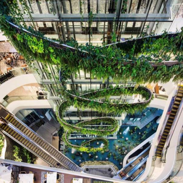 绿先生 | 把热带雨林搬进城市的垂直花园之父-54