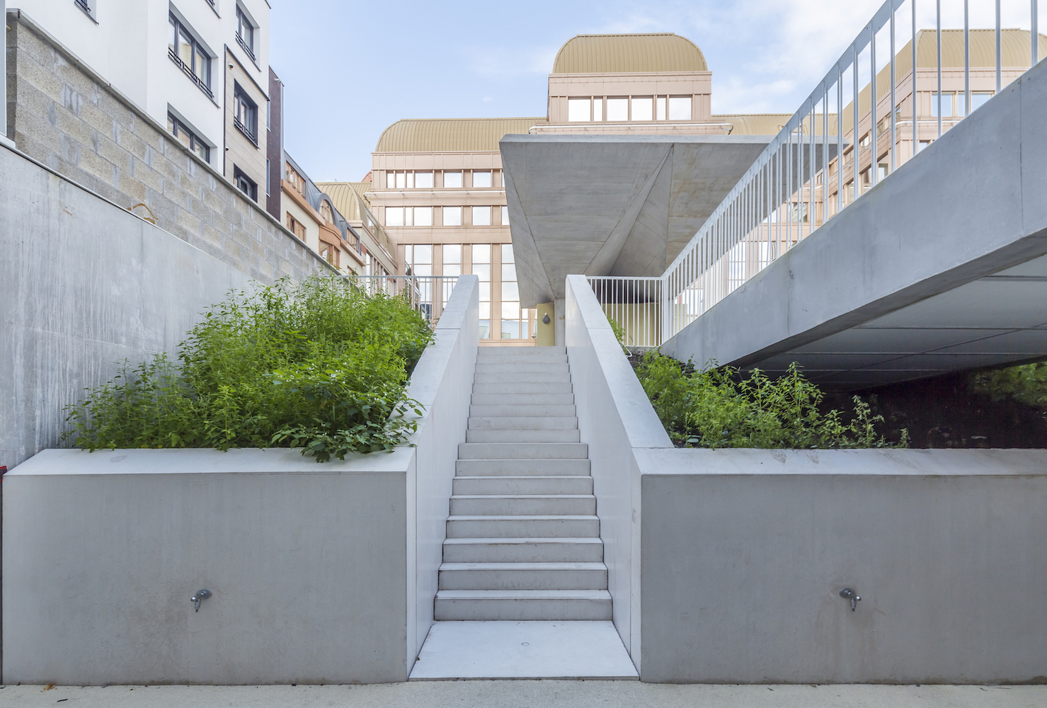 比利时秃头学校-10