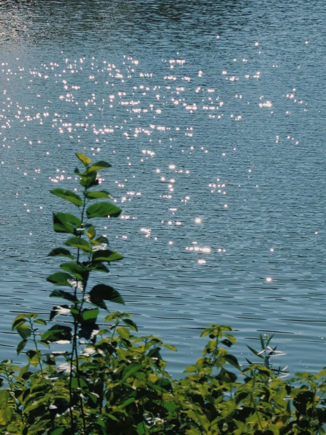 四方音乐岛开放预约！大江北岸新地标，限时免票登岛-25