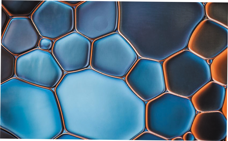 Burn & Dermatology Hospital – Interior Design Project-15