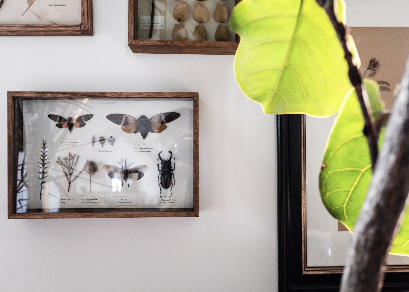 充满呼吸感的家-73