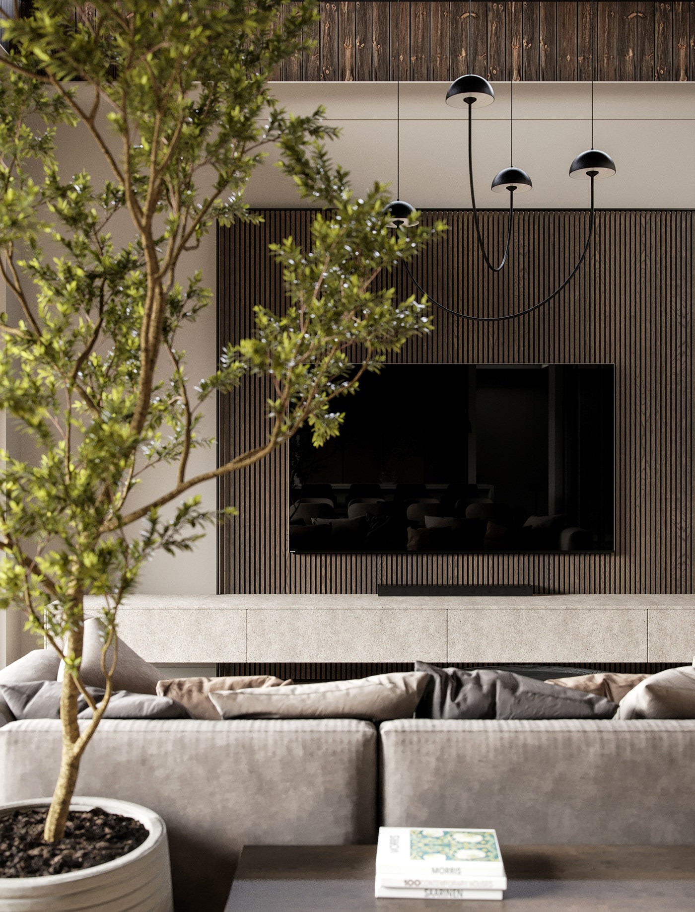 立陶宛住宅设计-2