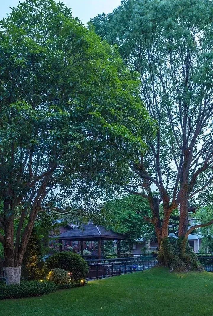 高雅金臣庭院丨中国上海-108