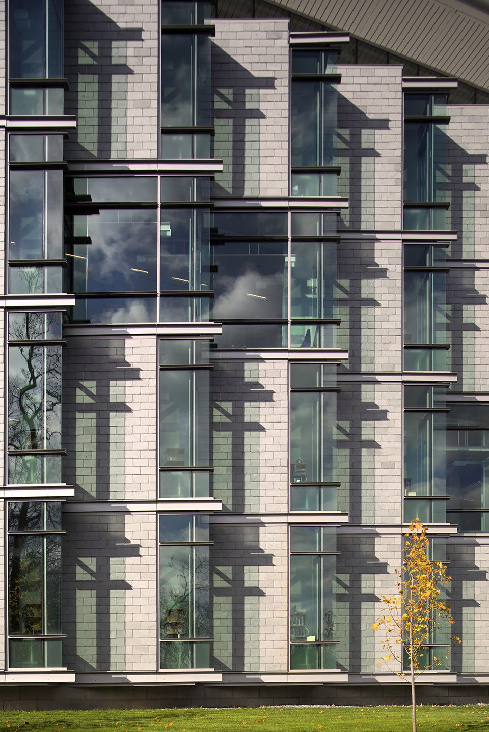 威廉斯敦 Sawyer 图书馆,新旧交融的多元空间-3